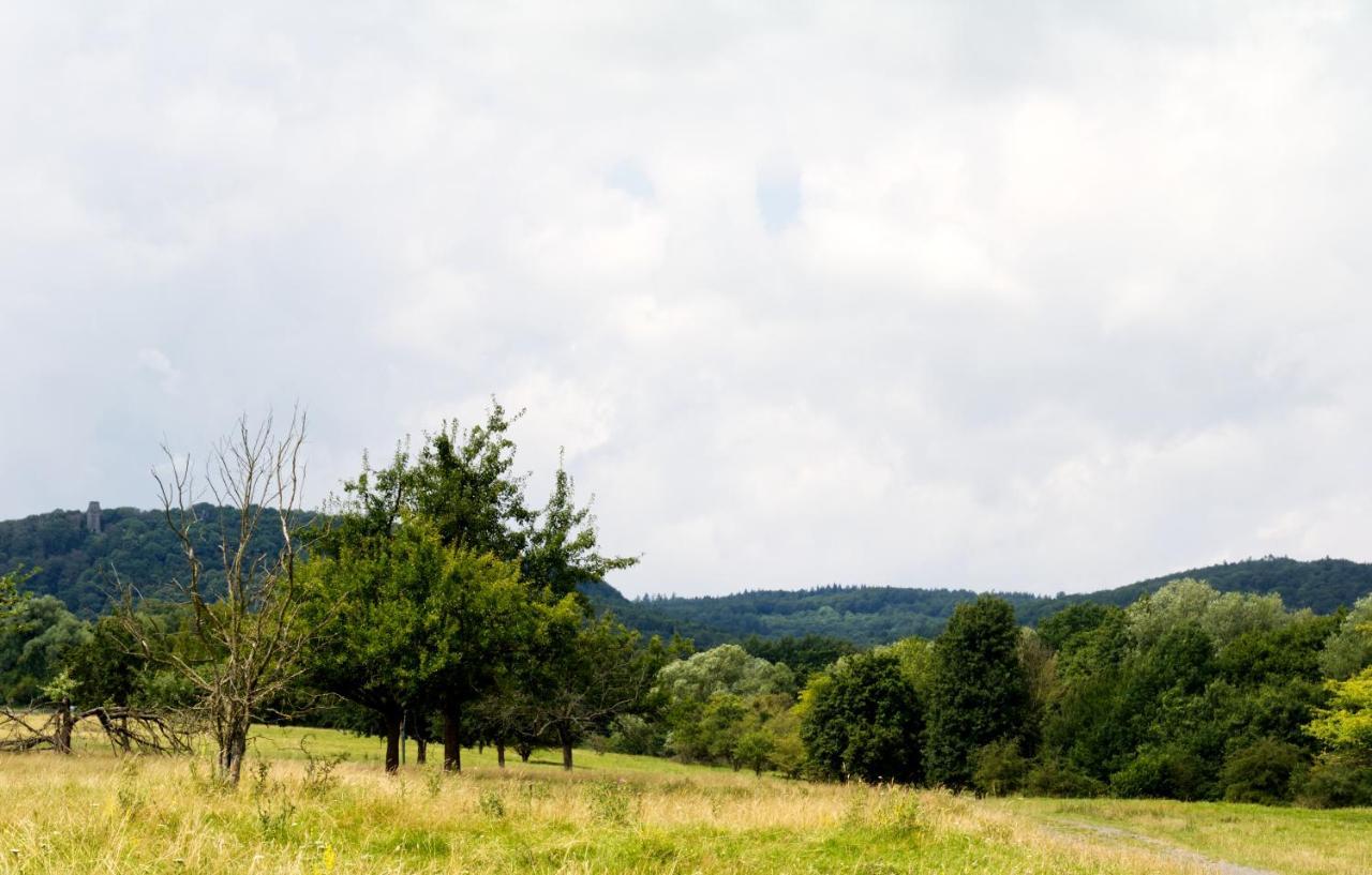 Souterrainwohnung mit großem Garten und Sauna Kassel Exterior foto